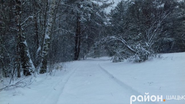Неймовірні фото засніженого Шацького поозер'я