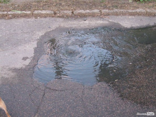 У Луцьку вулицю затоплює нечистотами. ФОТО