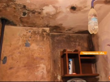 Аварійна електропроводка та пліснява на стінах: у яких гуртожитках живуть майбутні ІТ-шники