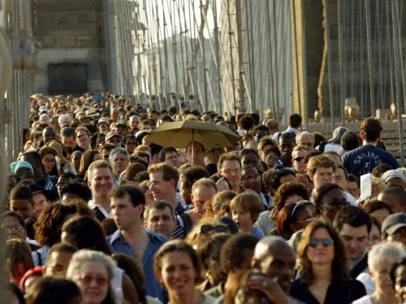 Перелік найнебезпечніших істот світу. ФОТО