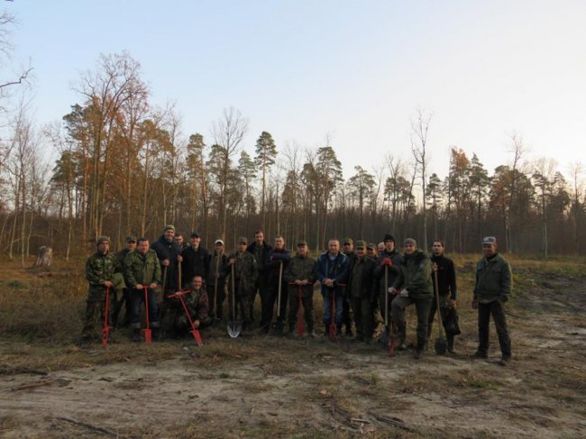 У Цуманській пущі висадили тисячі дубів. ФОТО