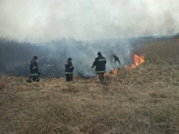 У селі на Волині вогонь з сухої трави ледь не перекинувся на будинки