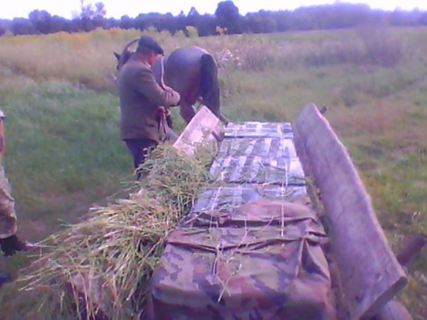 Дідусь намагався перевезти контрабандні сигарети, сховавши під сіном у підводі. ФОТО. ВІДЕО