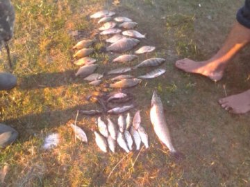 На Волині спіймали браконьєрів, які сітками ловили рибу