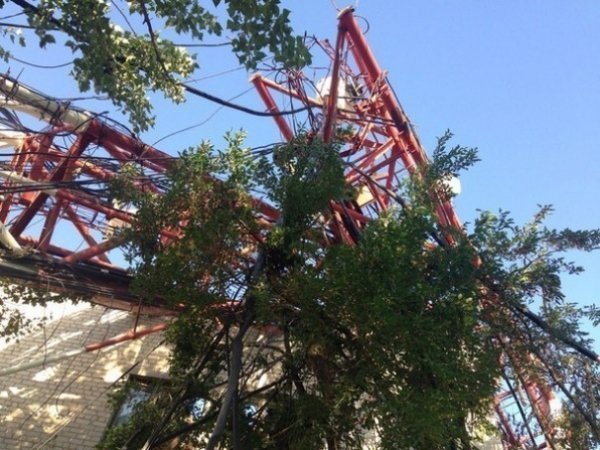 Під Слов'янськом впала телевежа. ФОТО