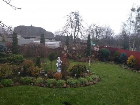 Була далекобійницею, стала садівницею: цікава доля волинянки