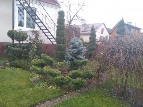 Була далекобійницею, стала садівницею: цікава доля волинянки