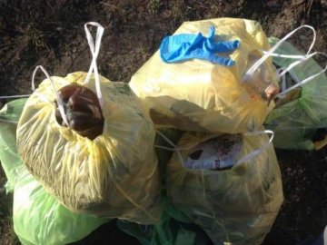 Волиняни під час ранкових пробіжок прибирають засмічені території. ФОТО