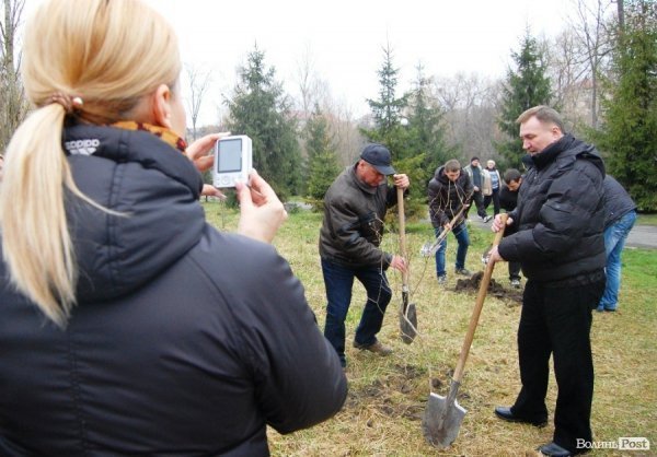 У Центральному парку Луцька чиновники і молодь садили дерева