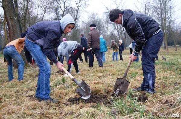 У Центральному парку Луцька чиновники і молодь садили дерева
