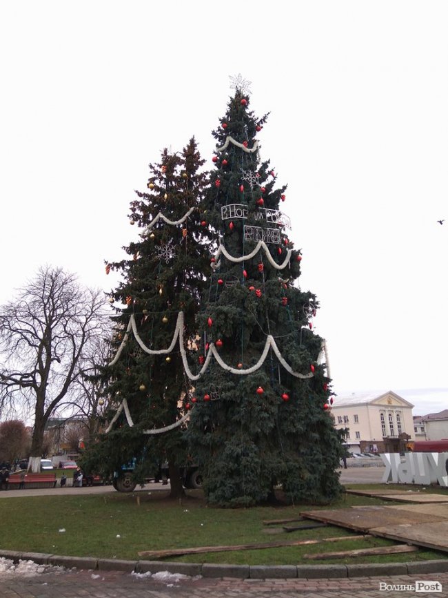 Біля луцької міськради прикрасили ялинку. ФОТО
