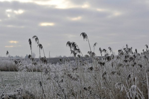 Волинь в льодяному тумані. ФОТО