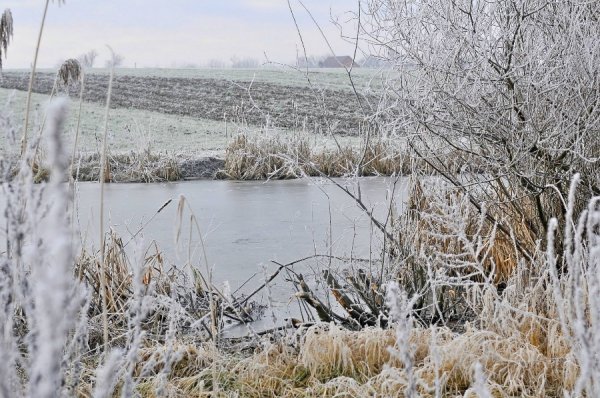 Волинь в льодяному тумані. ФОТО