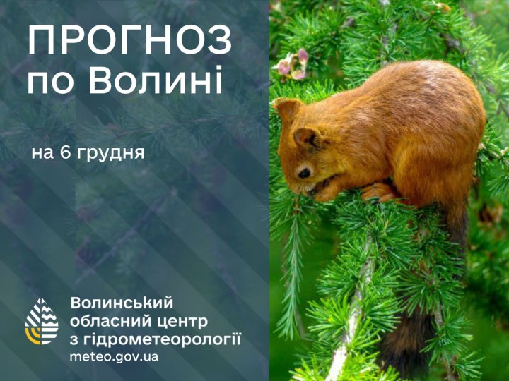 Якою буде погода у Луцьку та на Волині завтра, 6 грудня
