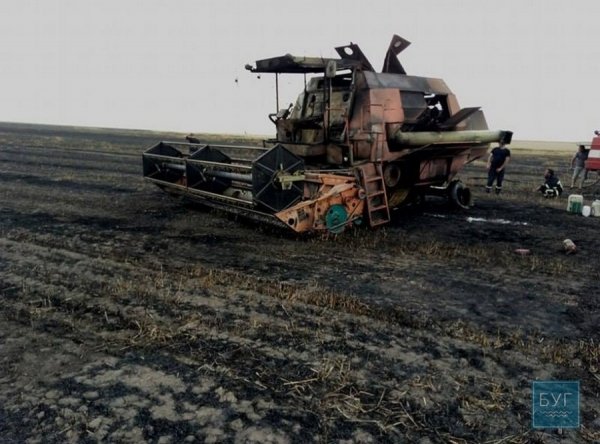 У волинського депутата згоріло поле пшениці та комбайн. ФОТО