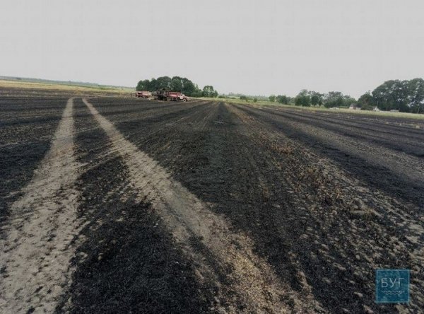 У волинського депутата згоріло поле пшениці та комбайн. ФОТО