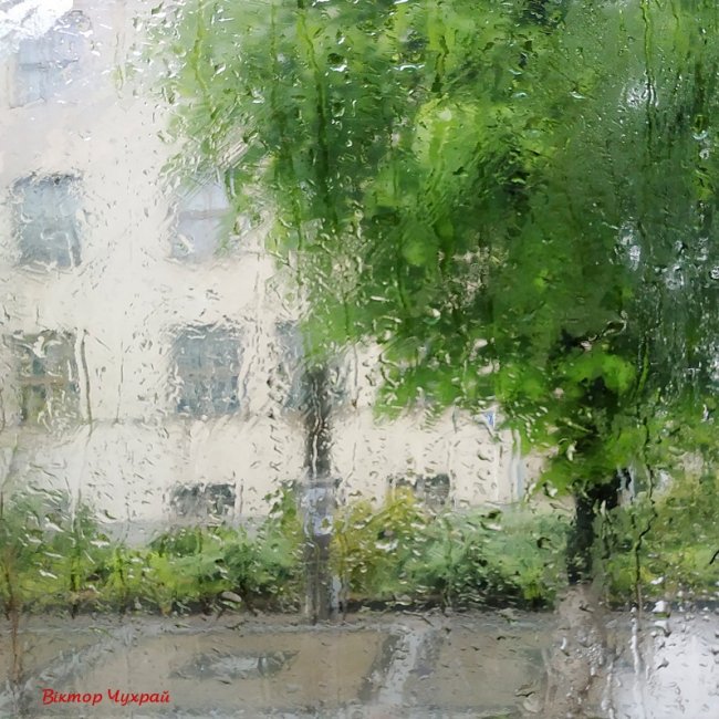 Луцький фотограф поділився «дощовими» світлинами