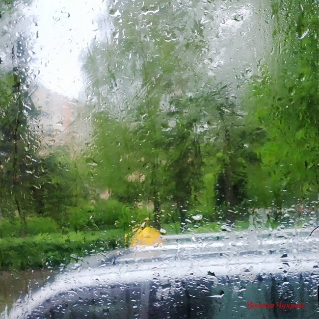 Луцький фотограф поділився «дощовими» світлинами