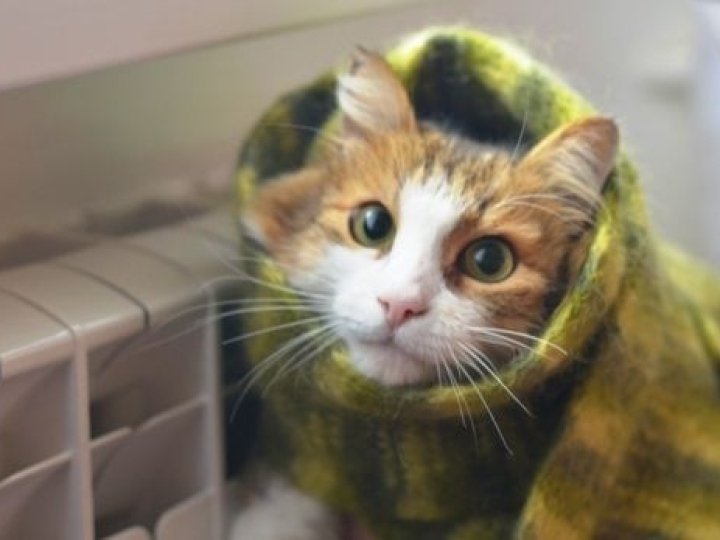 У Луцьку працюють 25 із 44 котелень: чому в будинках опалення немає