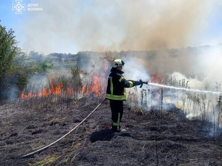 На Волині загасили 7 пожеж сухої трави та чагарників. ФОТО