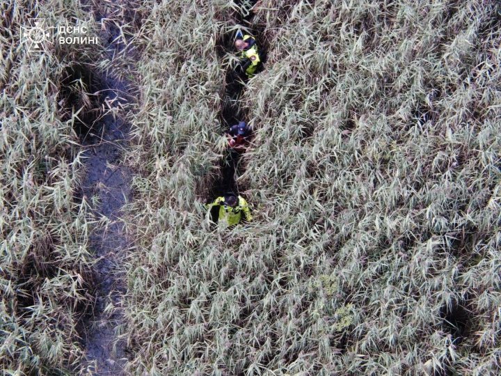 На Волині у болоті знайшли тіло чоловіка, який зник на початку літа