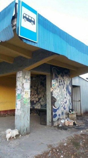 В Устилузі скаржаться на загиджену зупинку в центрі міста та відсутність вбиралень. ФОТО