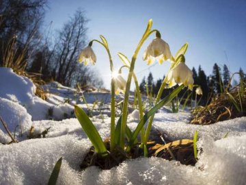 Синоптики: вихідні на Волині будуть «сухі», після них почнуться дощі
