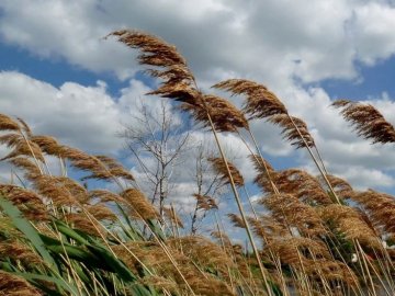 Погода у Луцьку на завтра, 30 липня