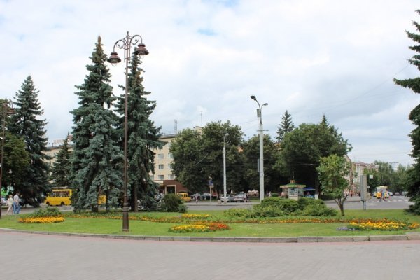 Як прикрасили луцькі клумби. ФОТО