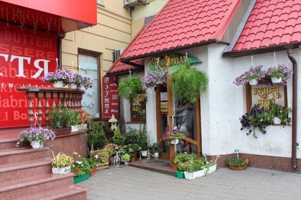 Як прикрасили луцькі клумби. ФОТО