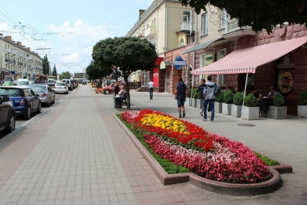 Як прикрасили луцькі клумби. ФОТО