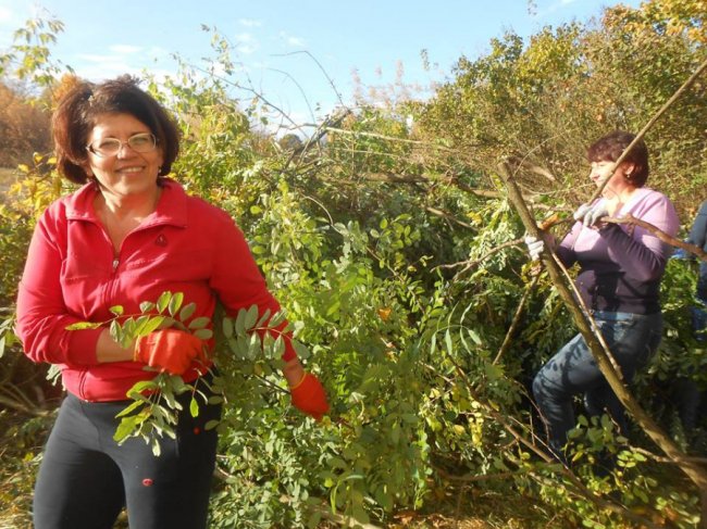 Древній маєток на Волині розчистили від чагарників. ФОТО