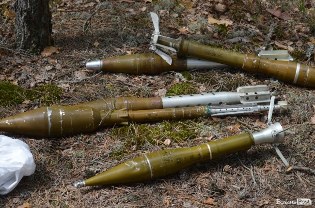 Війна у лісах Волині: підготовка загонів тероборони