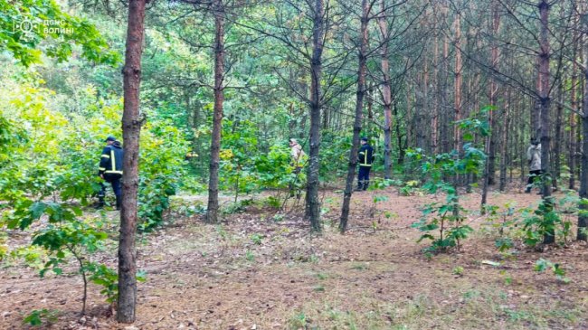 Волинянин пішов по гриби  і заблукав у болотистій місцевості: його шукали понад добу