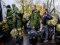 Перші російські мобілізовані почали здаватися в полон в Україні