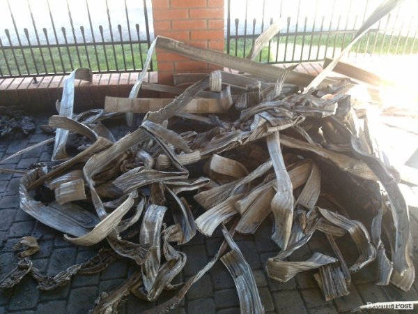 Машину екс-голови райради спалили через політику? ФОТО  