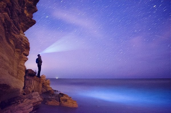Фотовиставка Олександра Калініна