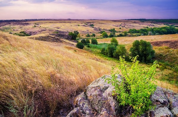 Фотовиставка Олександра Калініна
