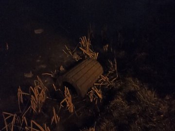 «Група приматів-вандалів» вкотре поперекидала смітники у луцькому парку. ФОТО