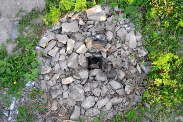 Нічні витівки по-луцьки: викинули у річку контейнер зі сміттям. ФОТО