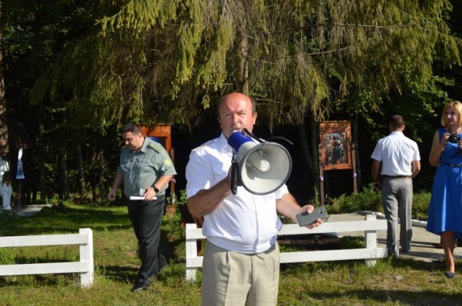 В Україні на шляху боротьби зі шкідниками лісу – бюрократичні перешкоди