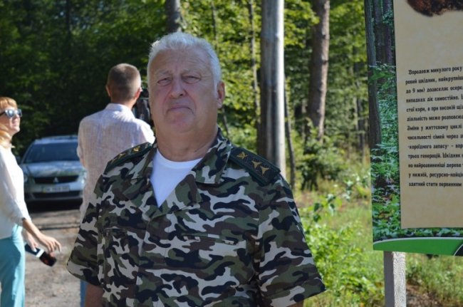 В Україні на шляху боротьби зі шкідниками лісу – бюрократичні перешкоди