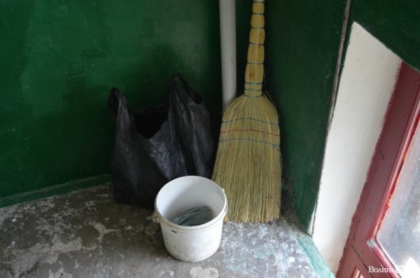 У Луцьку мертва бабуся пролежала тиждень у квартирі: сусіди бояться трупної отрути. ФОТО