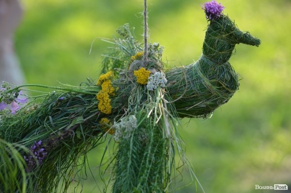 Фотовраження: «Озерний вітер» відкрив двері для дітей та дорослих