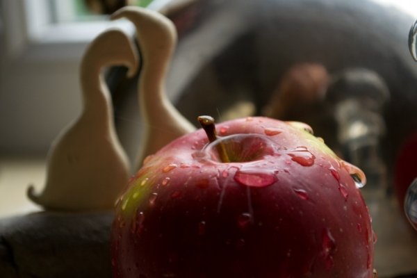 Фотовиставка Валентини Жуги