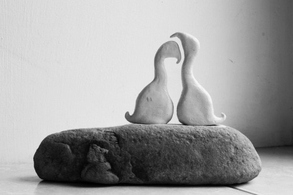 Фотовиставка Валентини Жуги