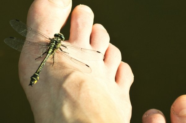 Фотовиставка Валентини Жуги