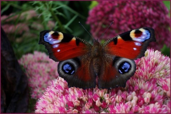 Фотовиставка Валентини Жуги