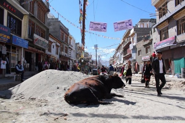 Як лучанин-мандрівник підкорював Індію. ФОТО