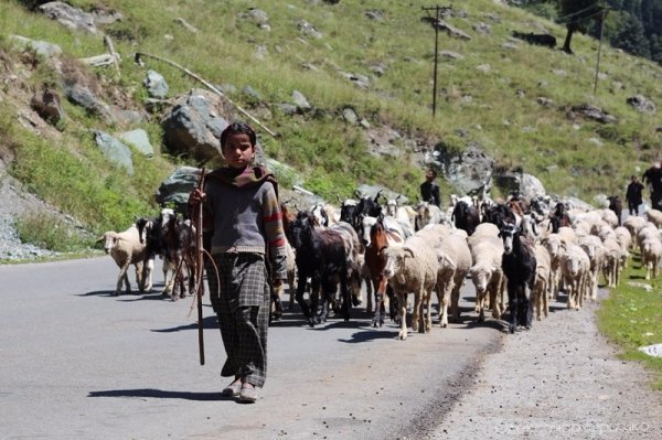 Як лучанин-мандрівник підкорював Індію. ФОТО